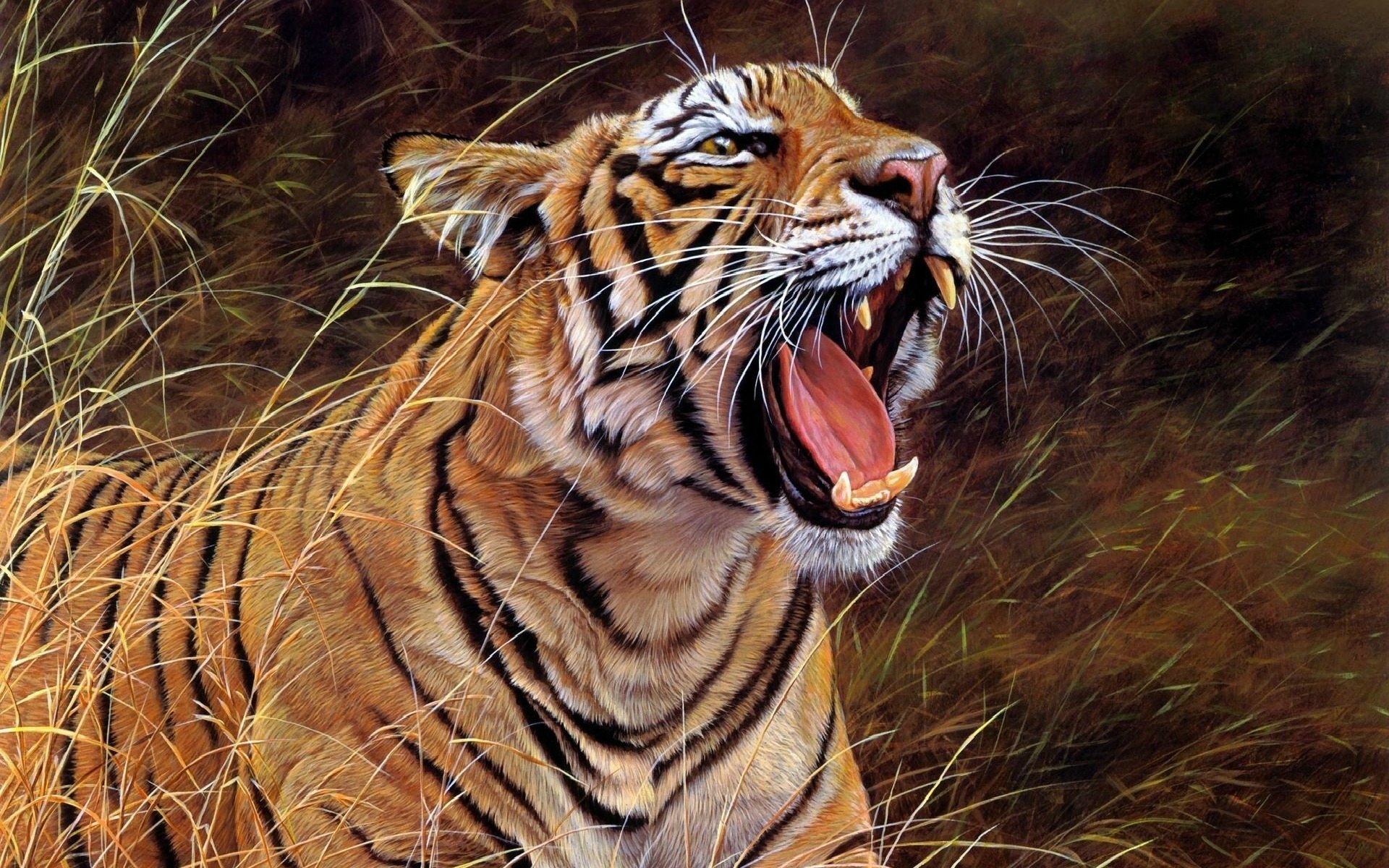 Tiger Art
