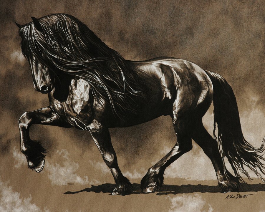 Black Horse Art