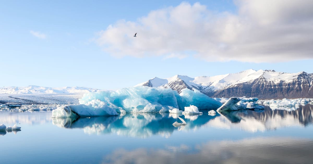 We Tried It Wim Hof’s 20Day Cold Shower Challenge Artful Living Magazine