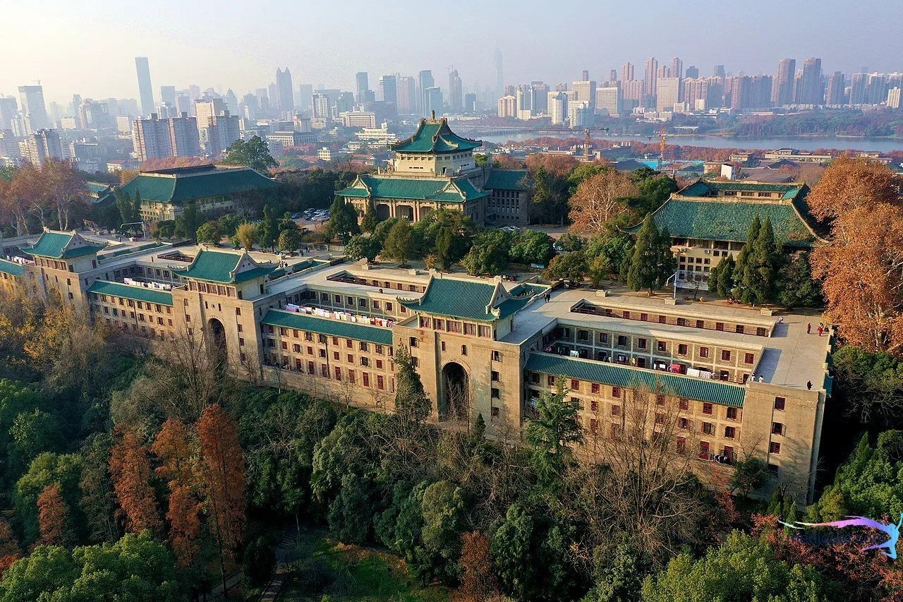Wuhan universities reopen after sixmonth suspension