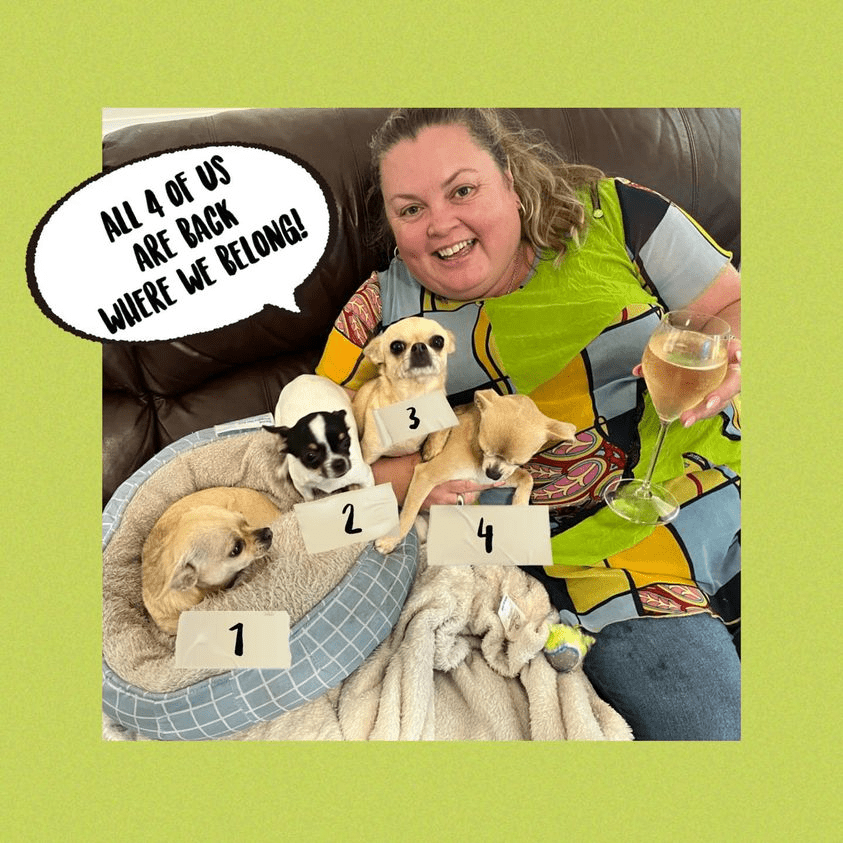 Arthur & Co. Pet Detectives in The Guardian Arthur & Co. Pet Detectives