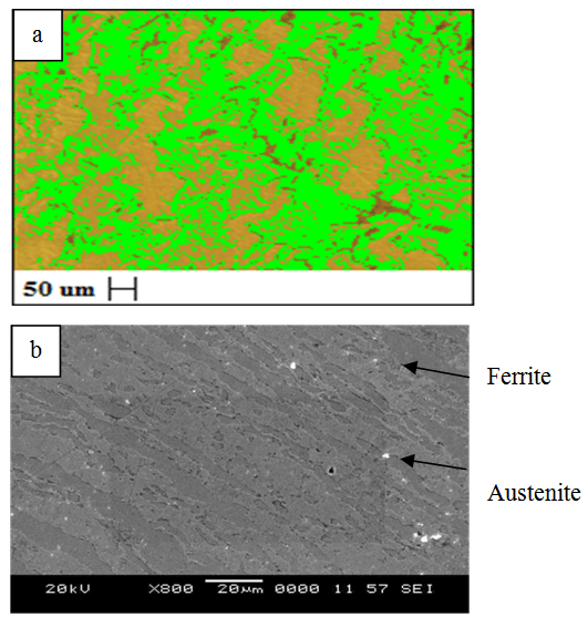 Influence of Heat Treatment on Microstructure, Hardness and Wear