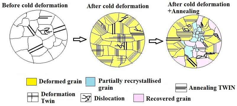Effect of Annealing on Microstructure and Mechanical
