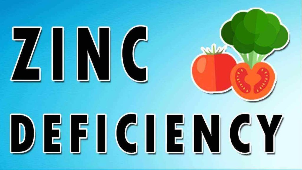 Everything You Need to Know about Zinc Deficiency ArticleIFY