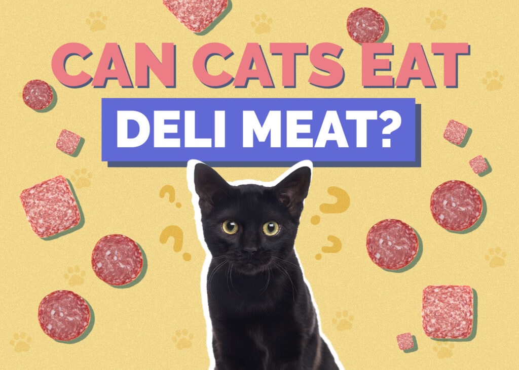 Can Cats Eat Deli Meat (Lunch Meat) Nutritional Facts &amp; Safety Guide