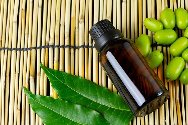 Is Neem Oil Toxic to Cats What You Need to Know Hepper Pet Resources