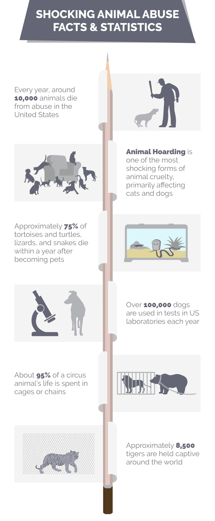 Animal Abuse Statistics Graphs