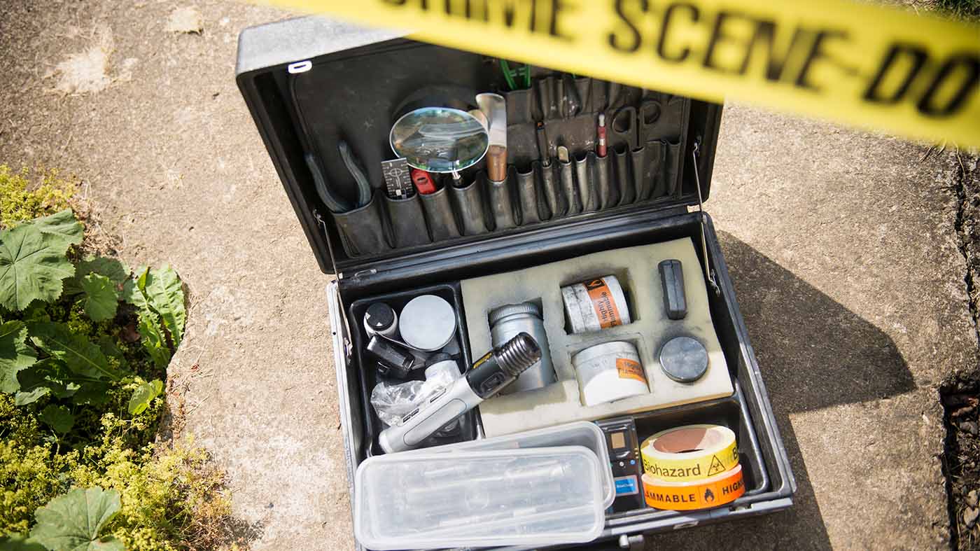 FleshEating Maggots and Rigor Mortis What Happens When You Die?