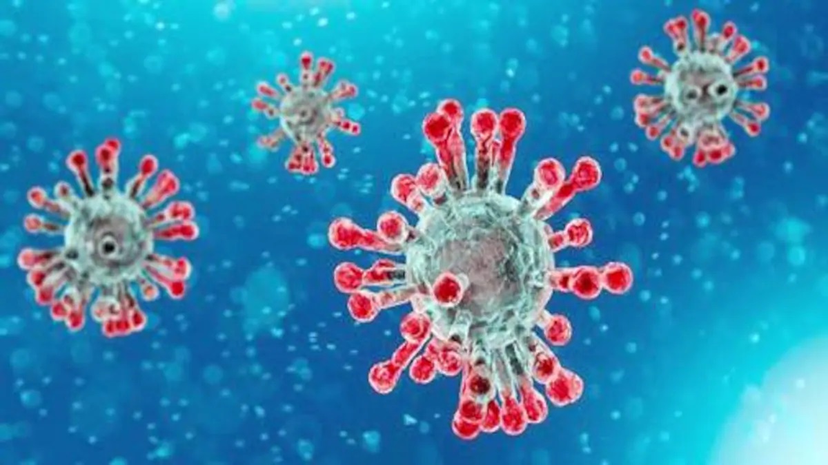 The Detailed Guide to WHO Report On Coronavirus Roots Article Set