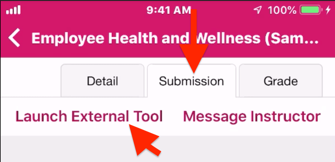 Embedding Rise output/link into Canvas LMS Rise 360 Discussions E