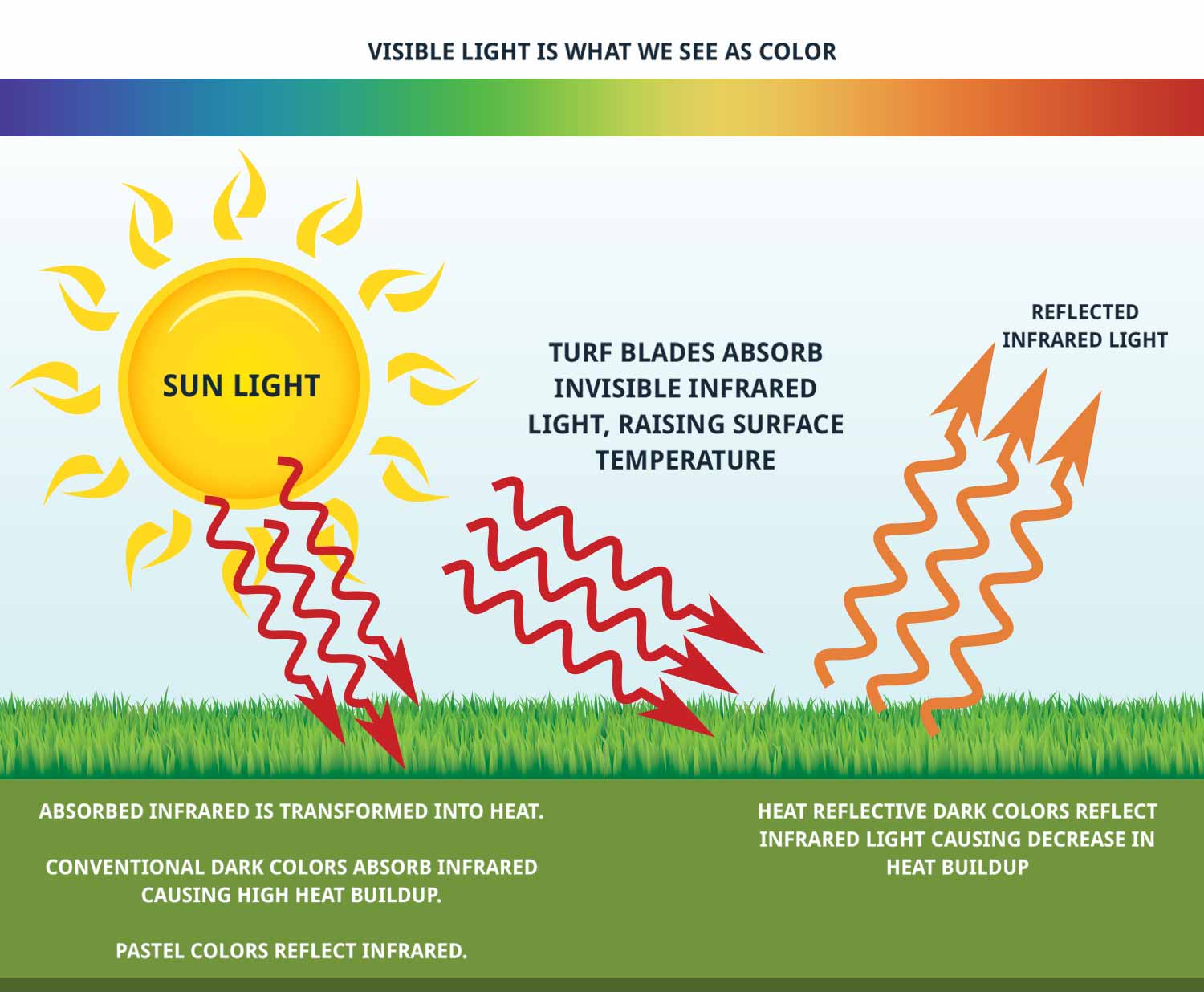 How Does Artificial Grass Fare In The Heat? Buy, Install and Maintain