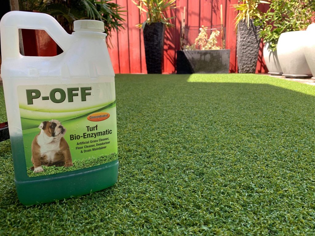 5-methods-to-get-rid-of-dog-urine-smell-handy-diy