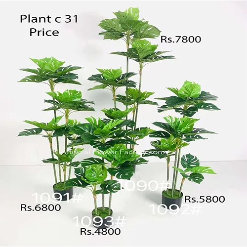 Plant c31 Artificial Flower Factory