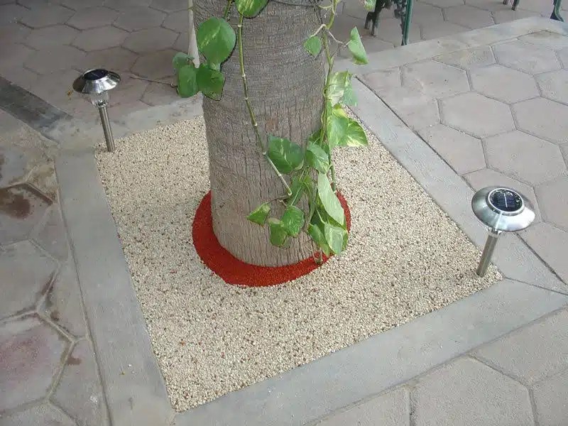 Tree Well Surfacing San Diego, Rubber Tree Well Surface