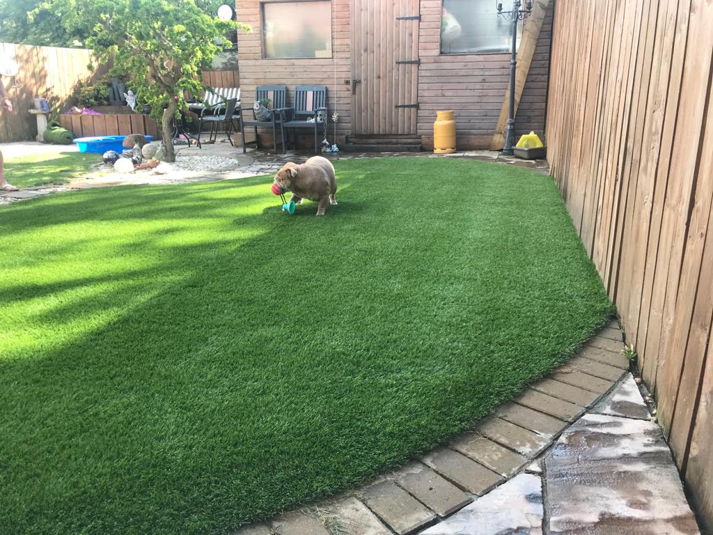 Pet & Dog Friendly Artificial Grass Artificialgrassne.co.uk