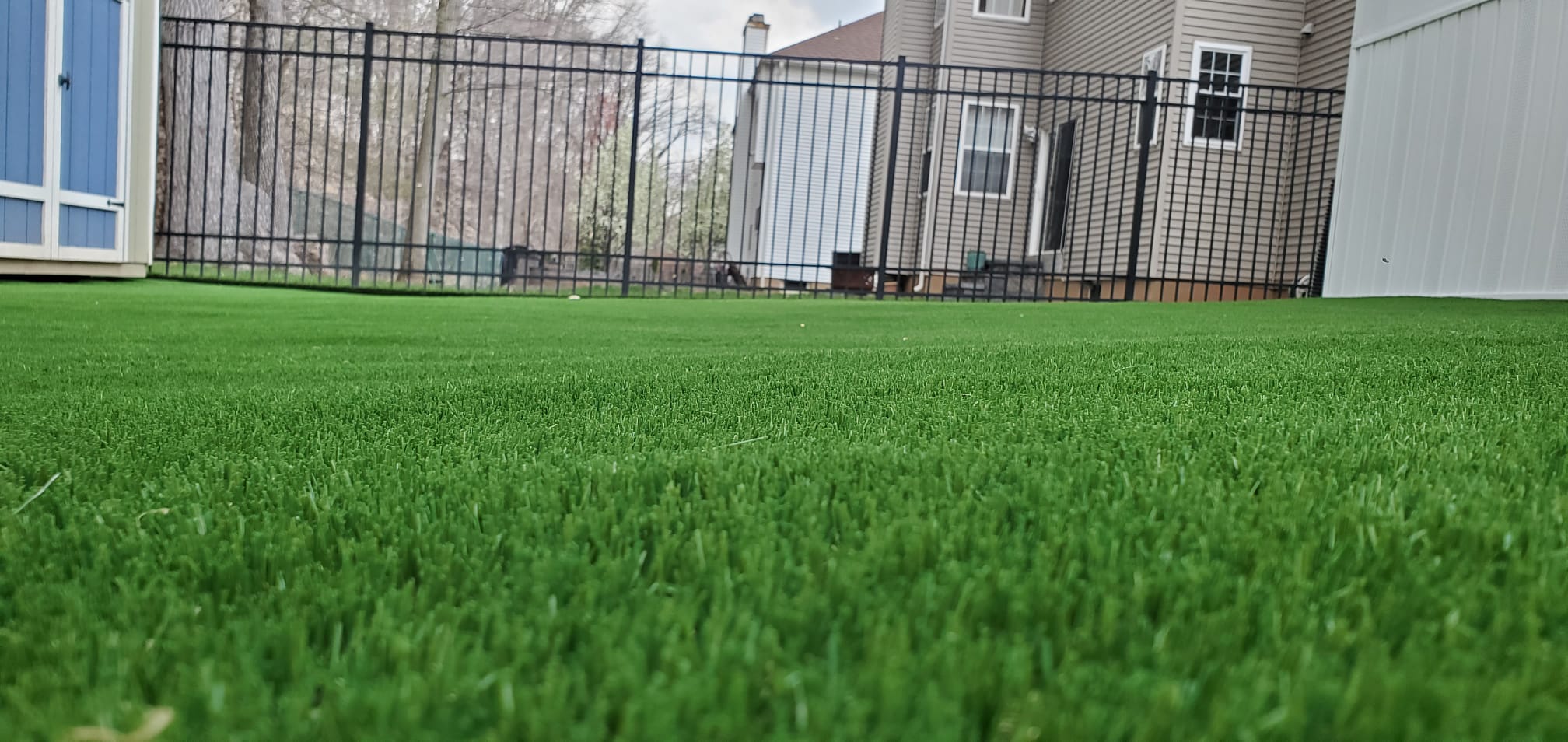 How Long Does Artificial Turf Last? Artificial Grass Turf Warehouse