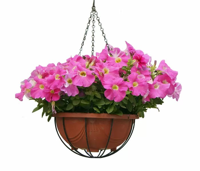 Silk Baskets All Seasons Group