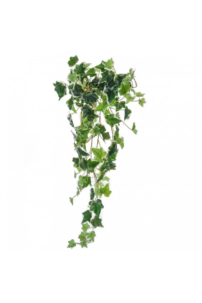 Artificial Ivy Variegated 70cm The Artificial Plants Trailing