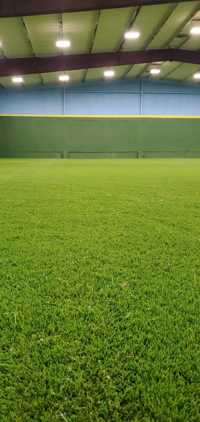 Artificial Grass for Indoor Fitness Areas Artificial Turf Factory Outlet