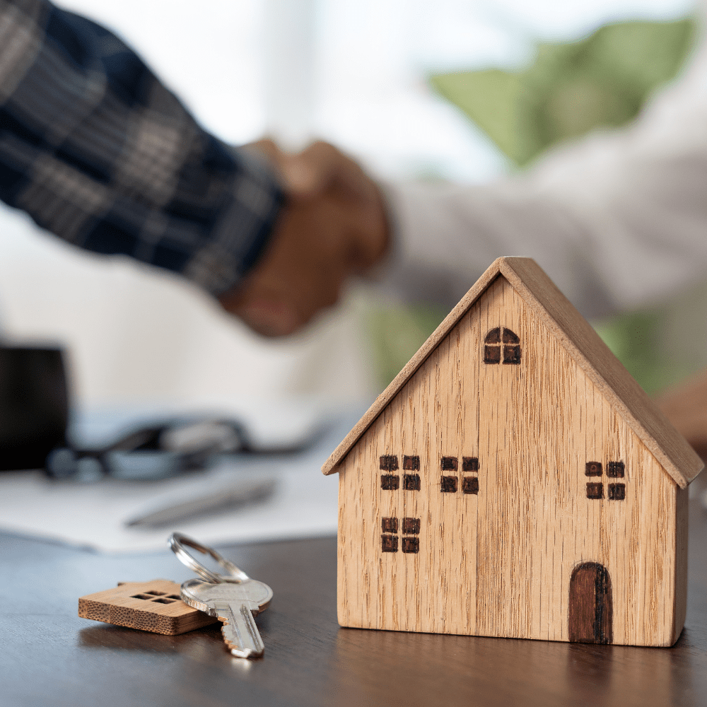 A propos de nous Arti Location Agence immobilière Guadeloupe