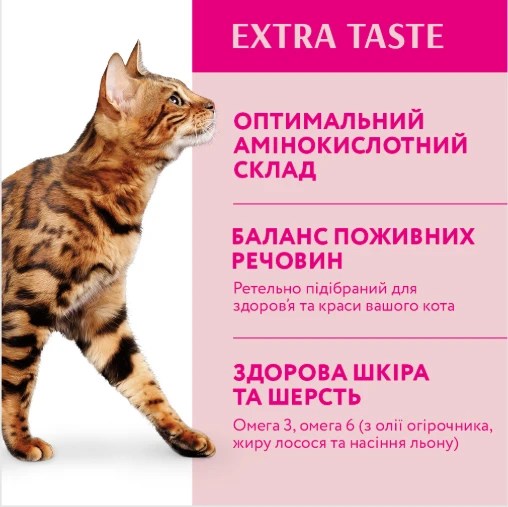 поживні речовини в кормі для котів