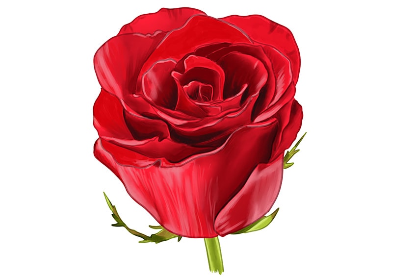 Share 76+ realistic rose sketch latest in.eteachers