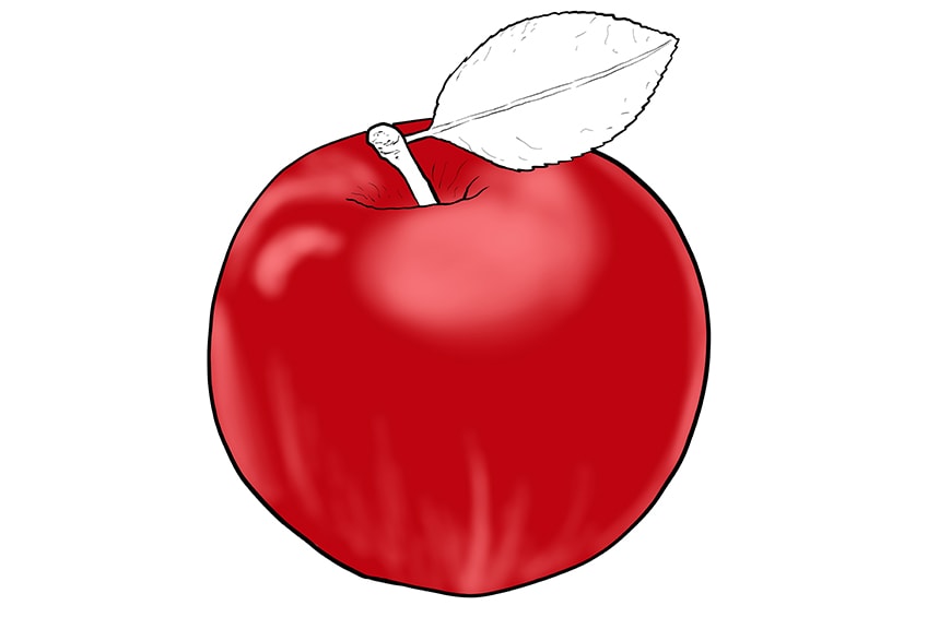 How to Draw an Apple Our Fun Fruit Illustration Tutorial Chia Sẻ