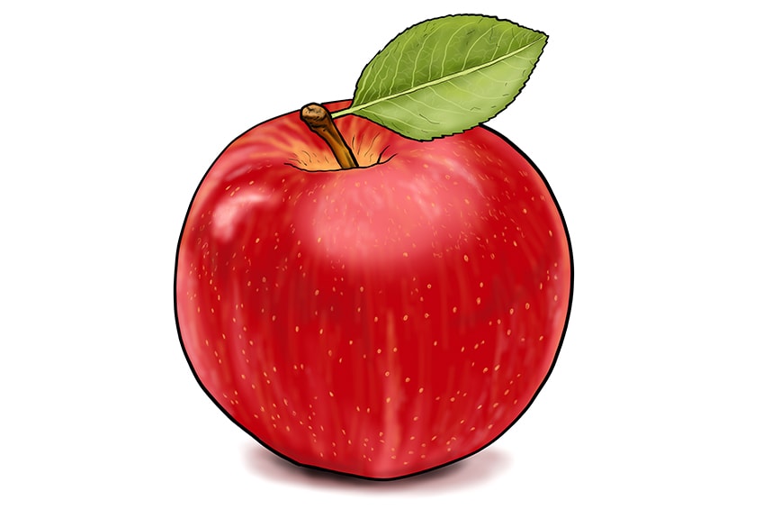How to Draw an Apple Our Fun Fruit Illustration Tutorial Chia Sẻ