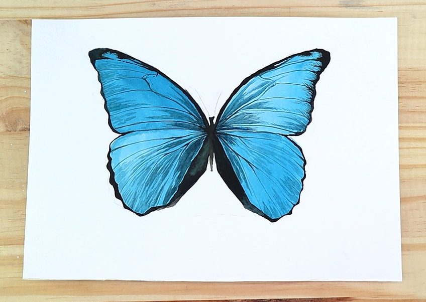 Top 165+ beautiful butterfly drawing with colour seven.edu.vn