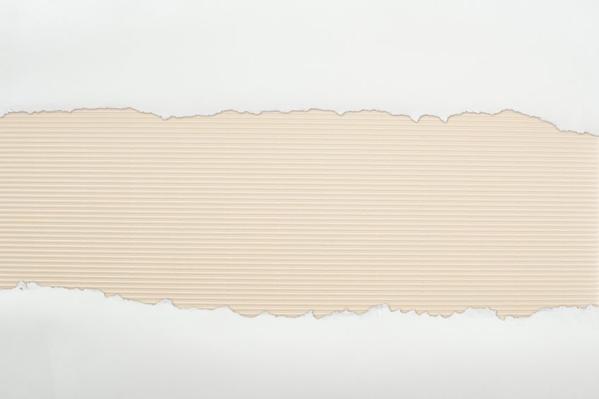 Ivory Color Exploring Different Shades of Ivory and Cream Colors (2023)