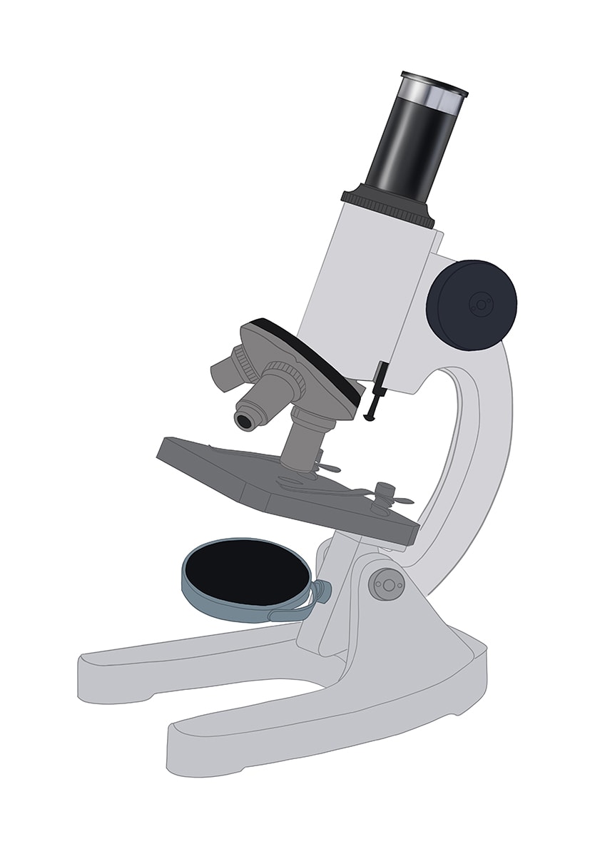 Update more than 78 compound microscope sketch diagram super hot in.eteachers