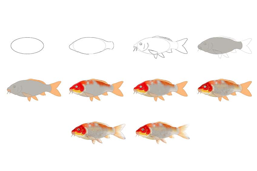 Easy Drawings Of Koi Fish