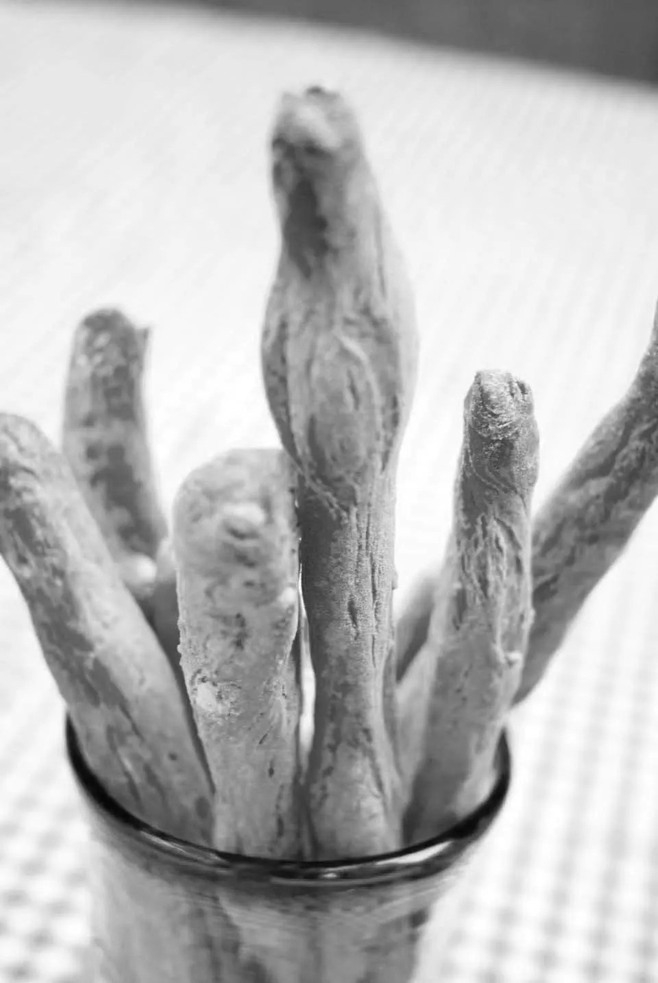 Grissini Olive Oil Breadsticks Artisan Bread in Five Minutes a Day