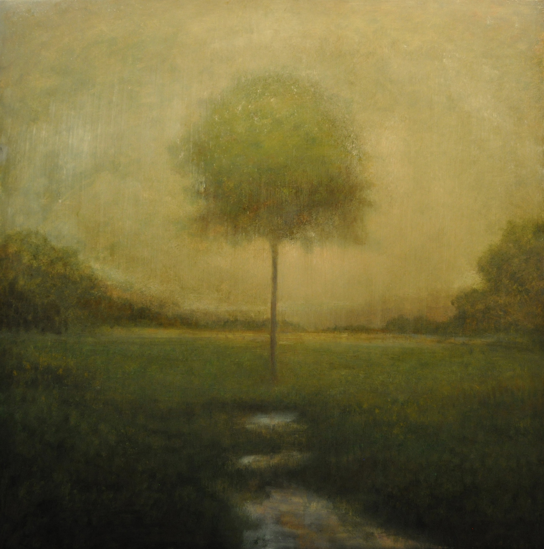 Take a Closer Look Brandon Cook at Finch Lane Gallery Artists of