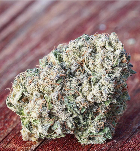 Playboi OG (Rudeboi OG x Summer Sunset OG) 10 REGS Artizen Seed Shop