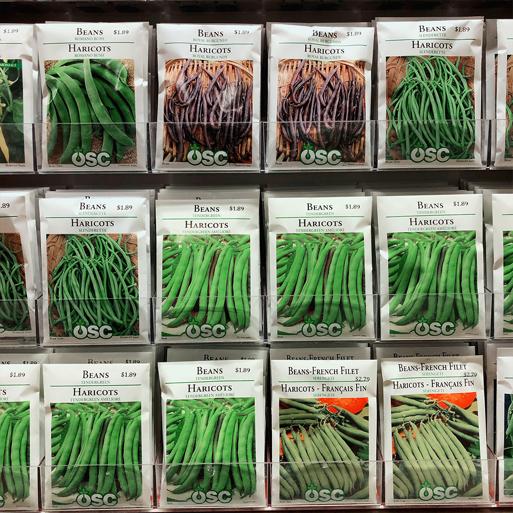 Art Knapp Kamloops Seed Starting