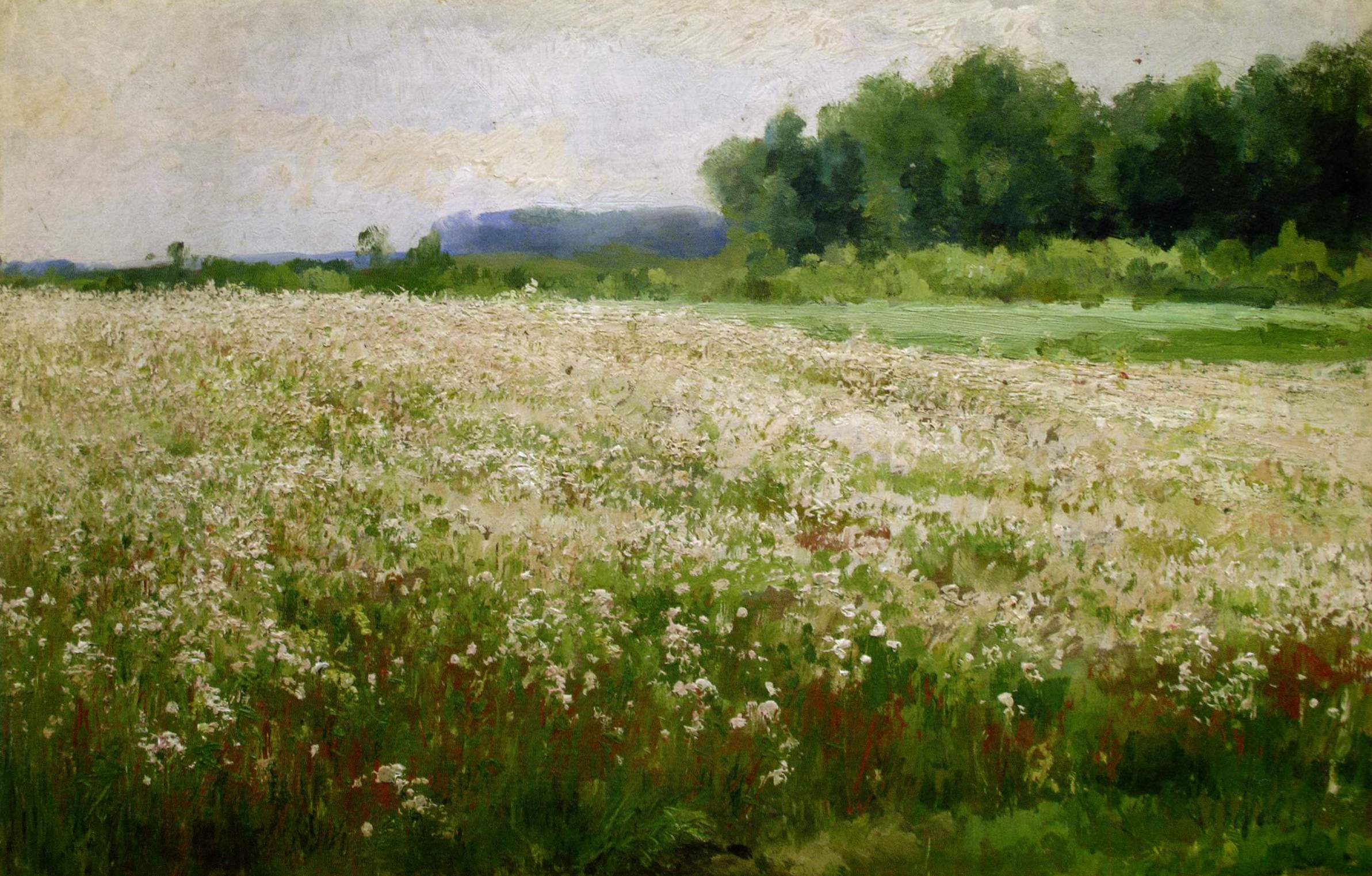 Художник світла Library Art Blog