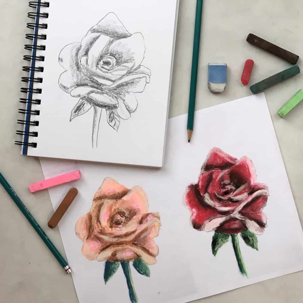 Share 76+ realistic rose sketch latest in.eteachers