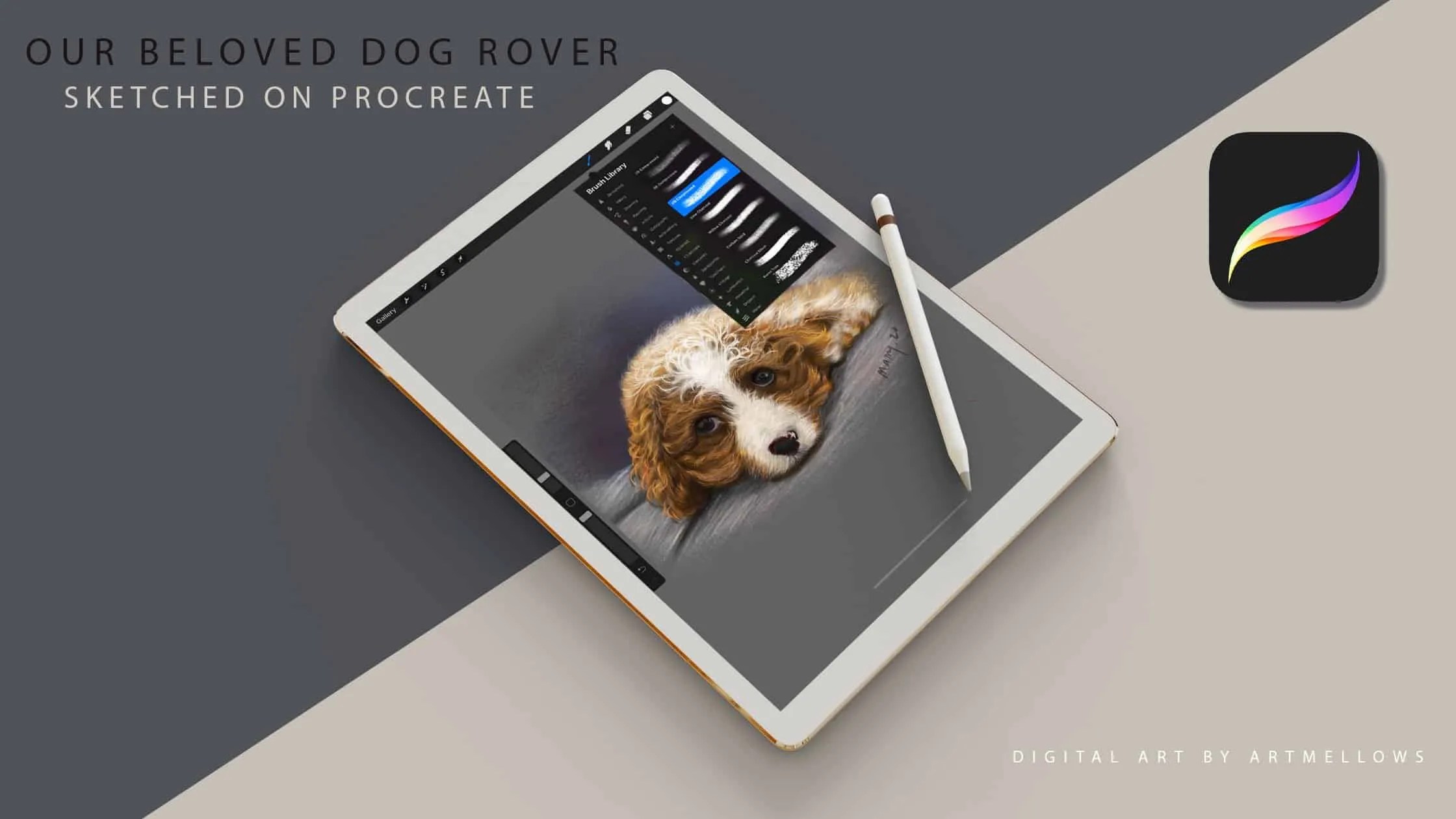 Is Procreate Good for Beginners? The Ultimate Beginners Guide Custom