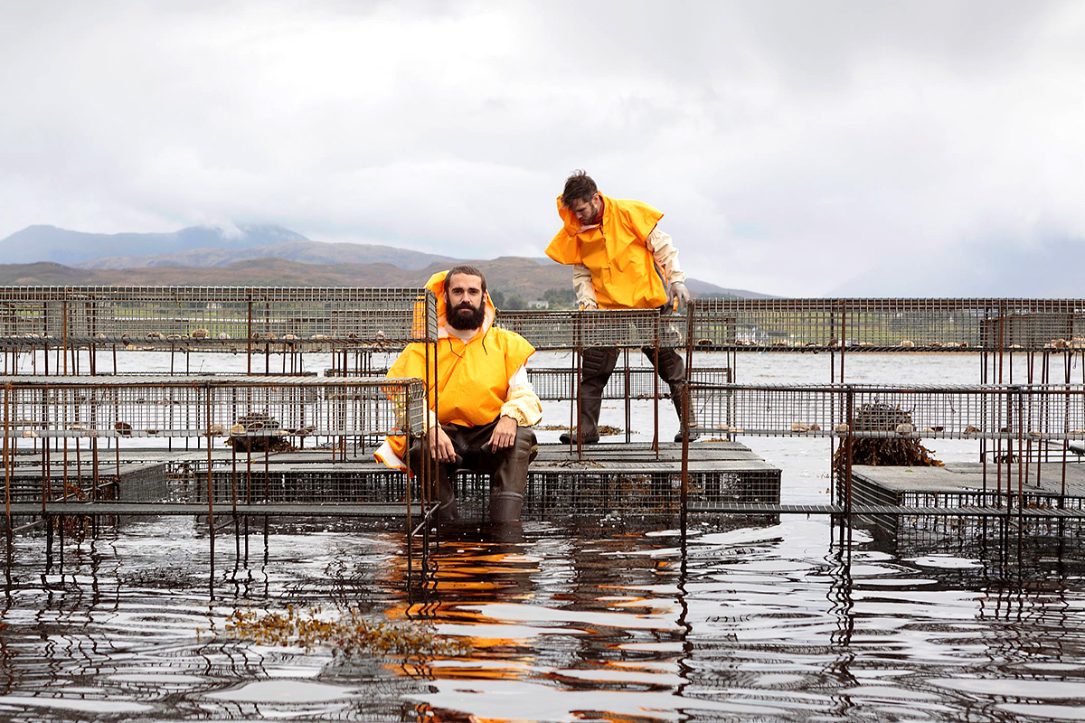 Pandemic Brings New Faces to Turner Prize 2021 Artmerit