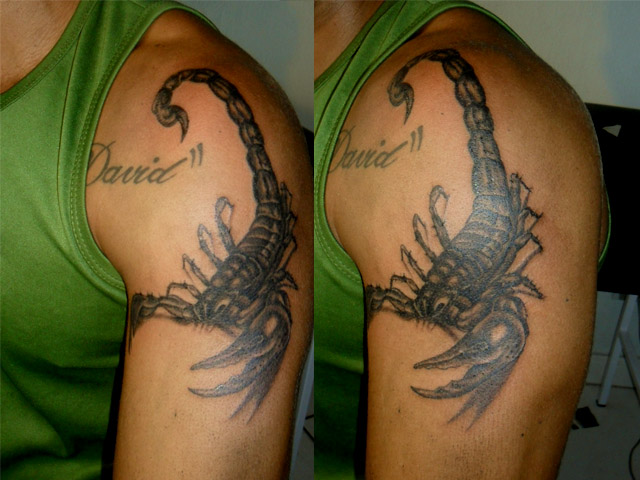 Tatuagem De Escorpião | Art Na Veia 480_x_640_jpg