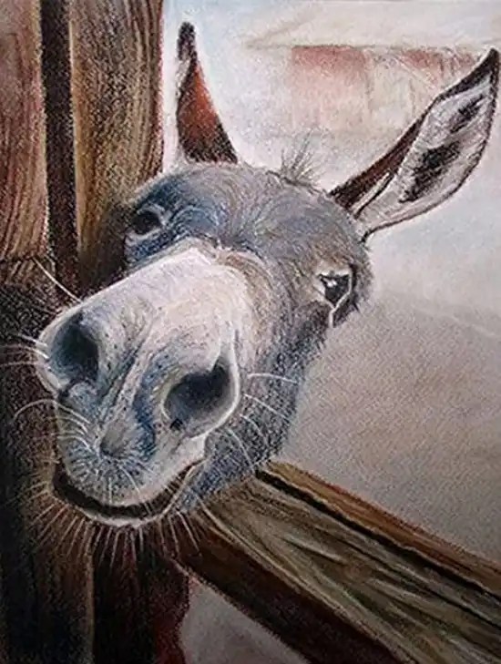 Donkey Diamond Painting Painting Diamond Painting Kits