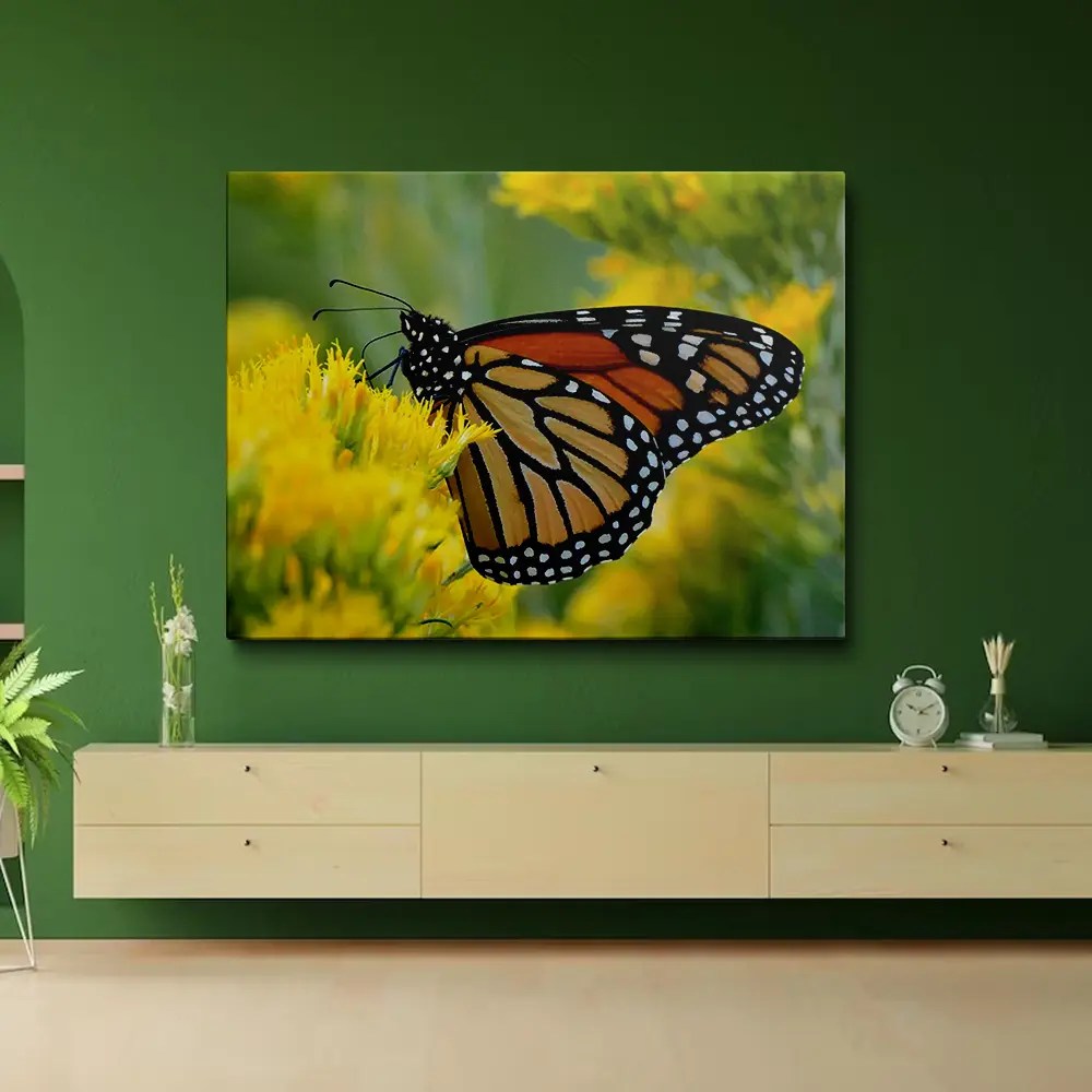 Monarch Butterfly Diamond Painting Diamond Painting Kits