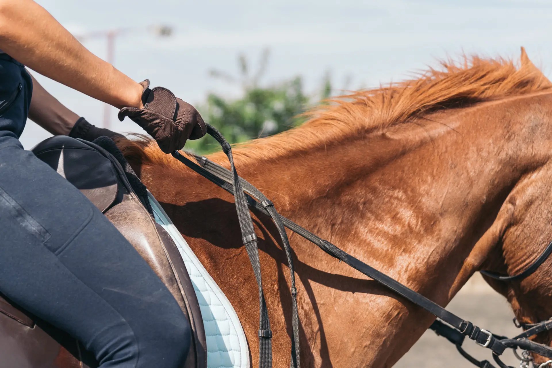 Rain vs. Reign vs. Rein 3 Essential Tips to Master Unlocking the Power