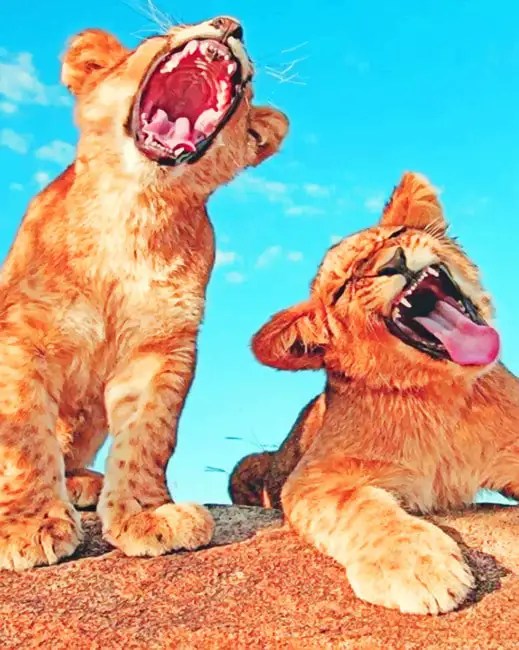 Lion Cubs Painting Art Of Paint By Numbers