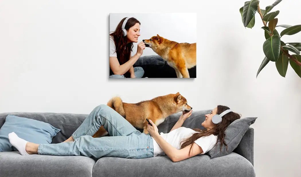 Pet Portrait Painting By Numbers