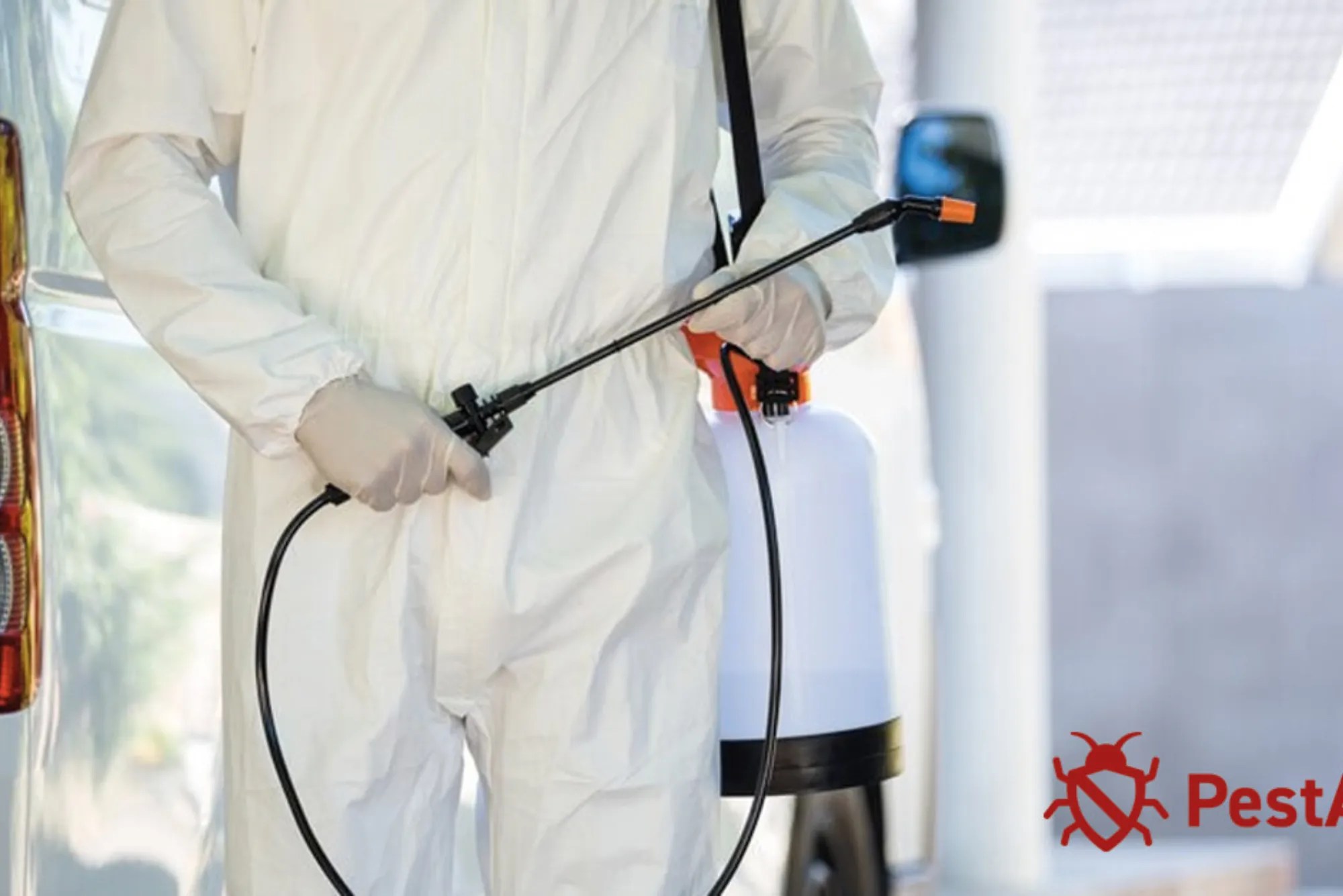 Does Ultrasonic Pest Control Work? Buddy Cleaning Dubai