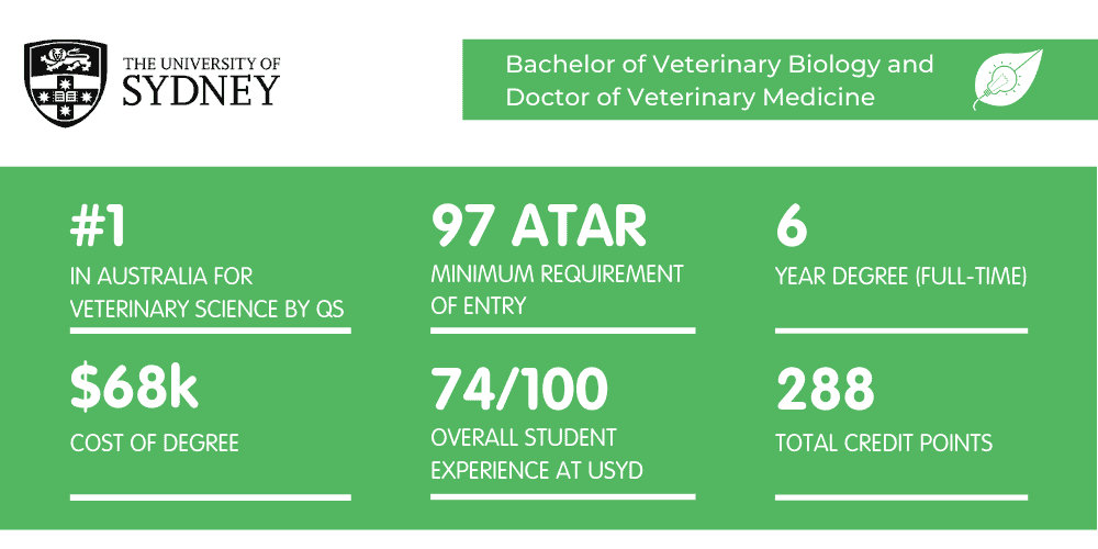 What It's Like Studying Veterinary Biology at Sydney Uni Art of Smart