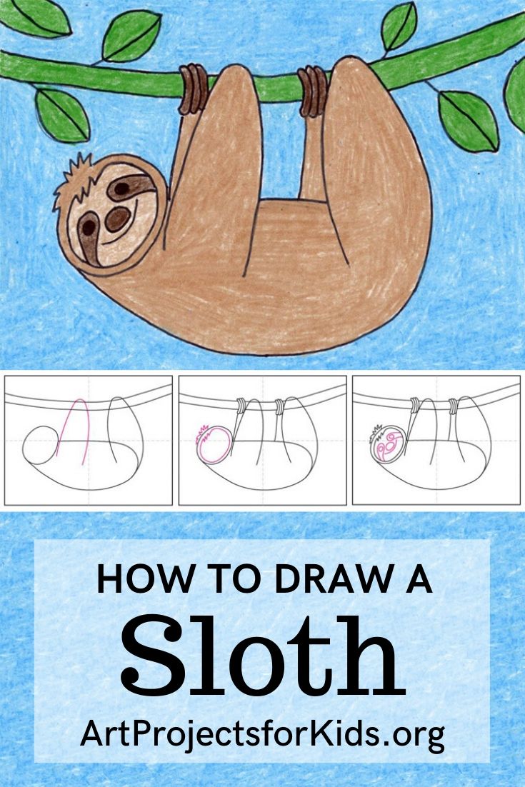 Easy How to Draw a Sloth Tutorial and Sloth Coloring Page · Art