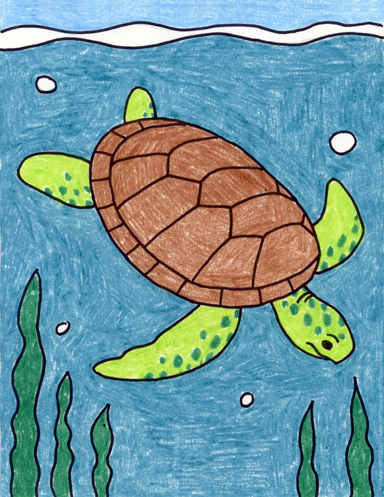 How To Draw A Sea Turtle